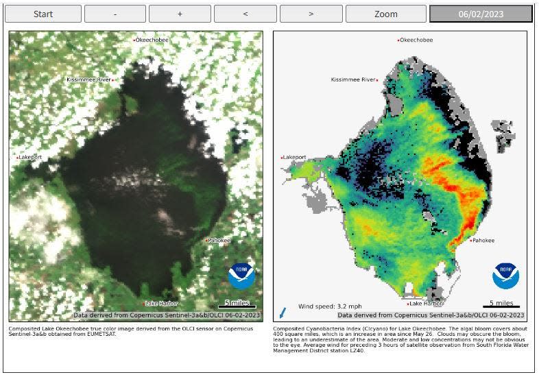 NOAA satellite imagery from June 2, 2023 shows the lake more than 50% covered by toxic algae.