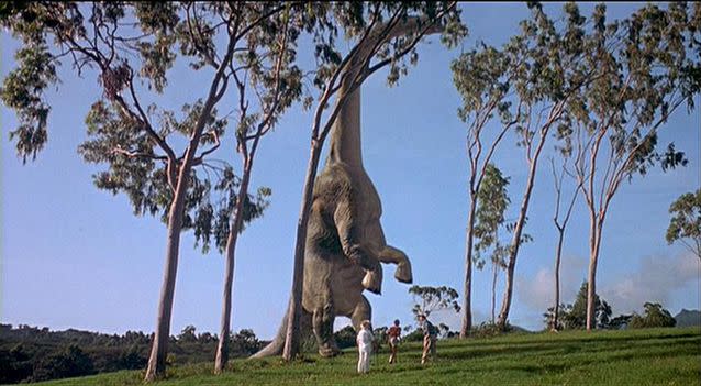Could it be a dinosaur similar to the brachiosaurus, seen here in Jurassic Park? Source: Universal