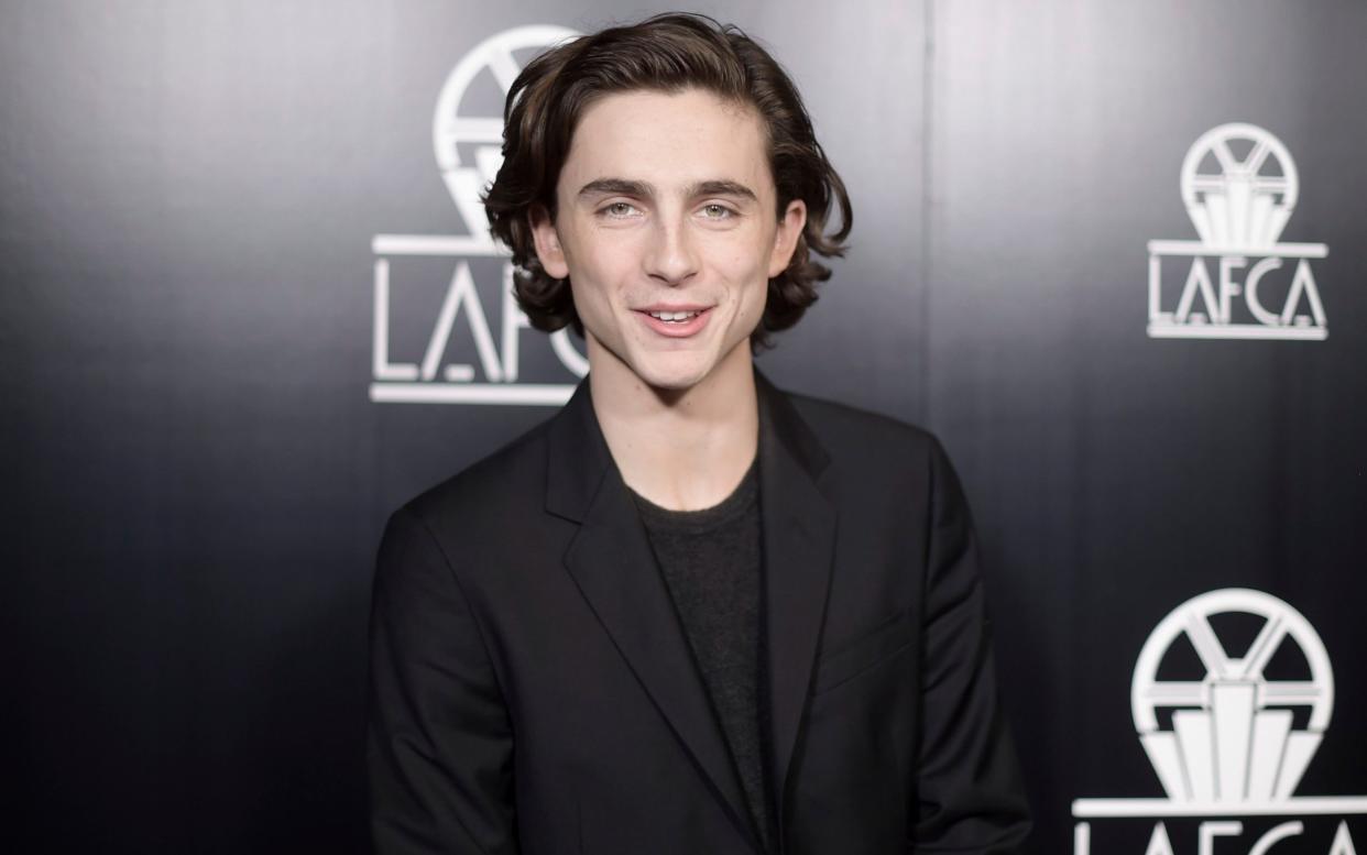 Timothée Chalamet in LA on Saturday - Invision