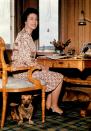 <p>A corgi keeps Queen Elizabeth II company in her study at Balmoral Castle. (PA Archive) </p>