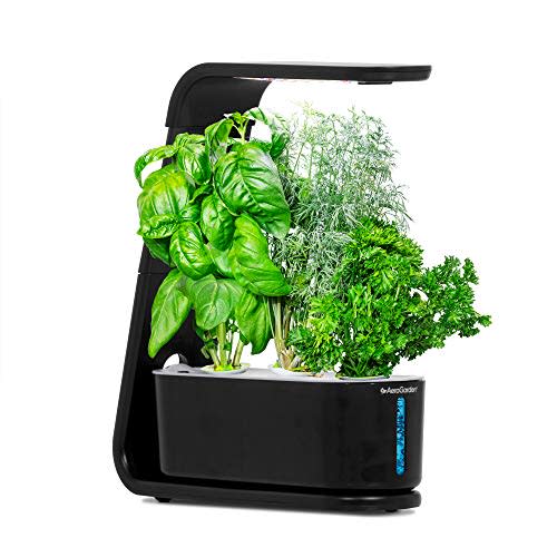 AeroGarden Sprout with Gourmet Herbs Seed Pod Kit (Amazon / Amazon)