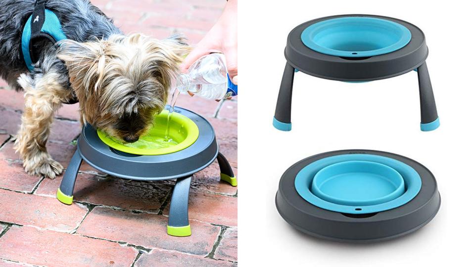 Best gifts for dogs 2019: Dexas Popware for Pets Single Elevated Pet Feeder