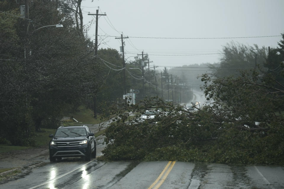 <p>Vehicles navigate around a downed tree from post-tropical storm Fiona on Sept. 24, 2022 in East Bay, N.S. on Cape Breton Island. Formerly Hurricane Fiona, the storm is one of the strongest Atlantic Canada has seen in years. (Photo by Drew Angerer/Getty Images)</p> 