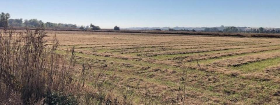 The photo shows a field which could be replaced by a mineral extraction mine in Parma. The area is now farmland.