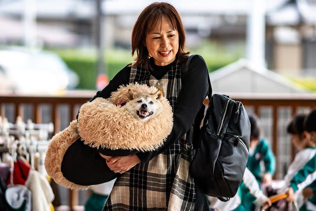 <p>PHILIP FONG/AFP via Getty Images</p> Owner Atsuko Sato with Kabosu in March 2024