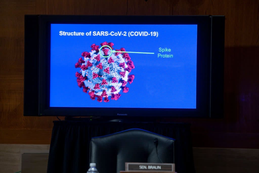 US health officials testified before the Senate HELP Committee using charts and diagrams to explain their work on a Covid-19 vaccine. (Getty Images)