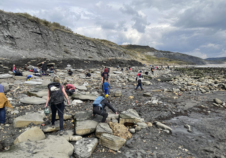 Fossil hunters roam the beaches of Lyme Regis on April 23, 2023, in southern England. Lyme Regis was the home of Mary Anning (1799-1847), who found the first complete plesiosaur, a long-necked marine reptile, and one of the first complete ichthyosaurs. She also found hundreds of fossils of ammonites and belemnites, which are squid-like sea creatures. (Steve Wartenberg via AP)