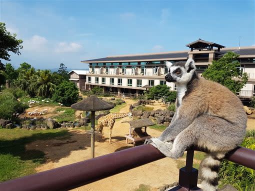 六福旅遊集團首次推出超狂「六福莊十周年慶買一送一」住房專案，住六福莊送六福萬怡。（圖／六福旅遊集團提供）