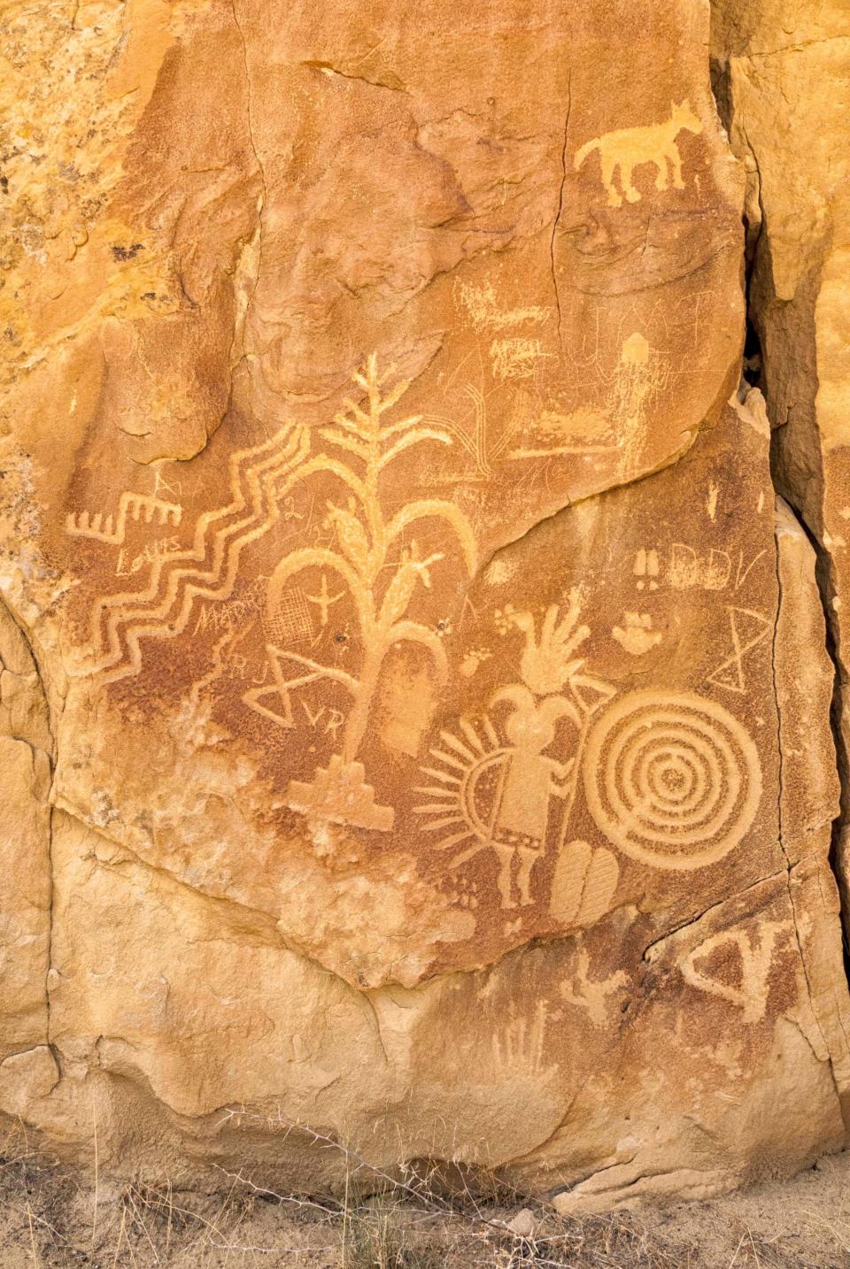Several field trips to local rock art sites are planned during the American Rock Art Research Association's annual conference in Farmington May 16-20.
