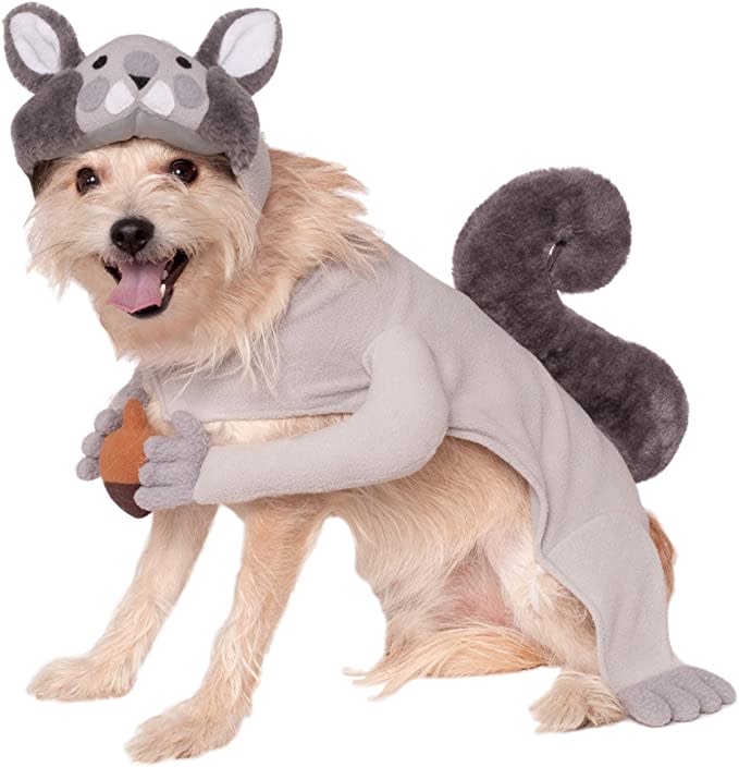 squirrel dog costume