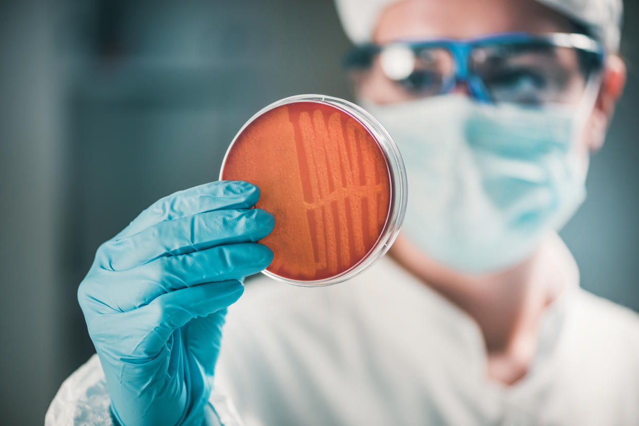 Microbiologist inspecting petri dish, observing bacteria growth