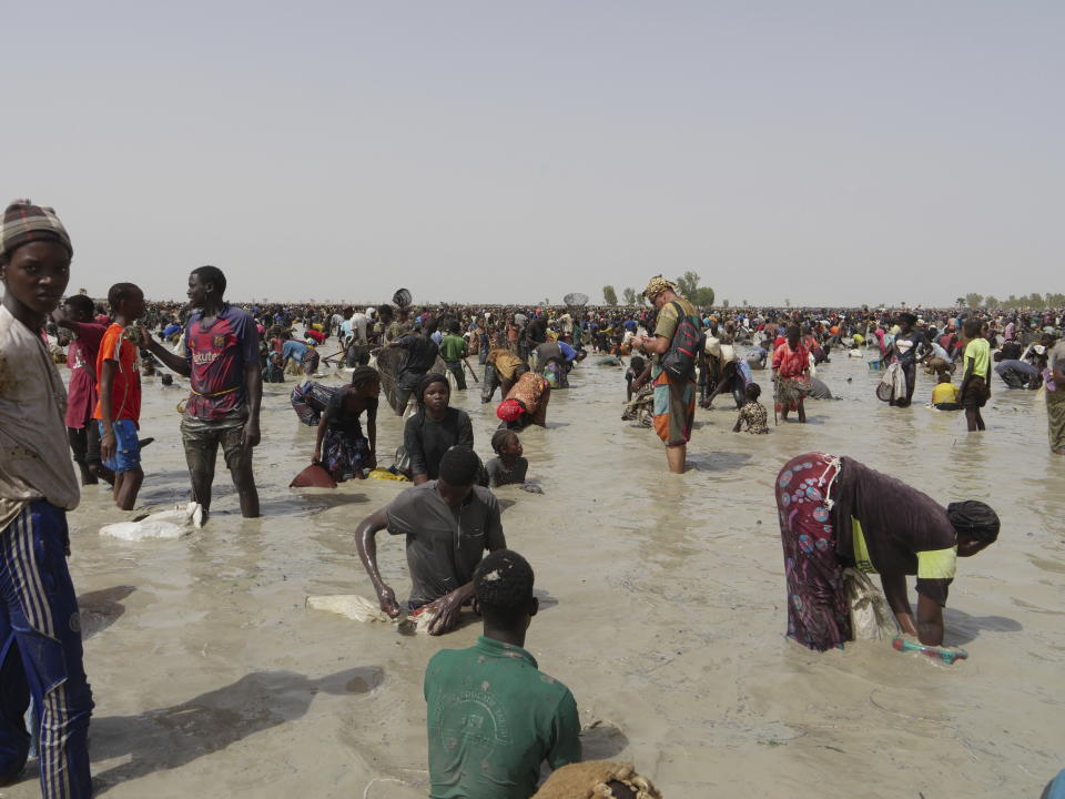 Thousands of fishermen fill a large muddy pond and cast their nets in the southern Mali town of San, Thursday, June 6, 2024, for Snake mon, a collective fishing rite that begins with animal sacrifices and offerings to the water spirits of Sanké pond. For several hundred years, people have gathered for the rite, which is on UNESCO's list of intangible cultural heritage. Heatwaves in Mali in recent years have caused the pond to start drying out. (AP Photo/Moustapha Diallo)