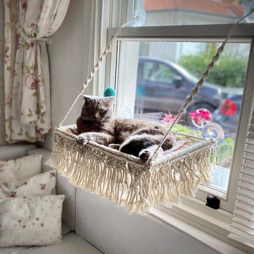 Cat lying on a Macrame Window Mounted Cat Bed attached to a window