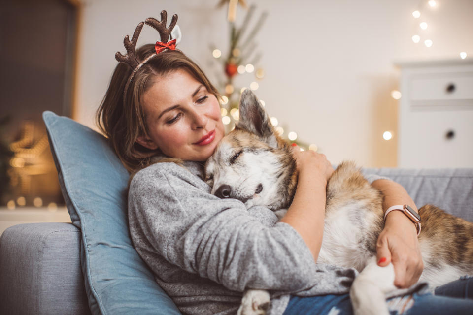 New research has revealed owners can't always spot if their pets are stressed out by common household noises. (Getty Images)