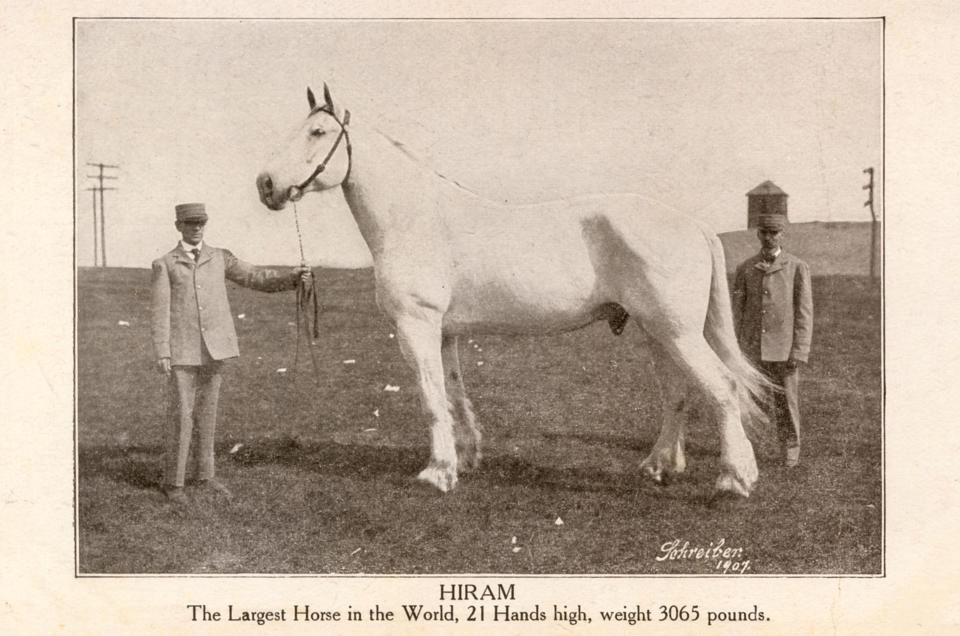 Hiram