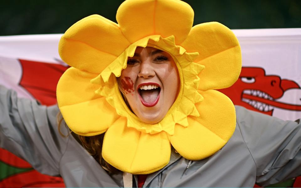 A happy rugby fan in Cardiff - Harry Trump/Getty Images