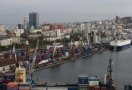 A view shows a commercial port in Vladivostok