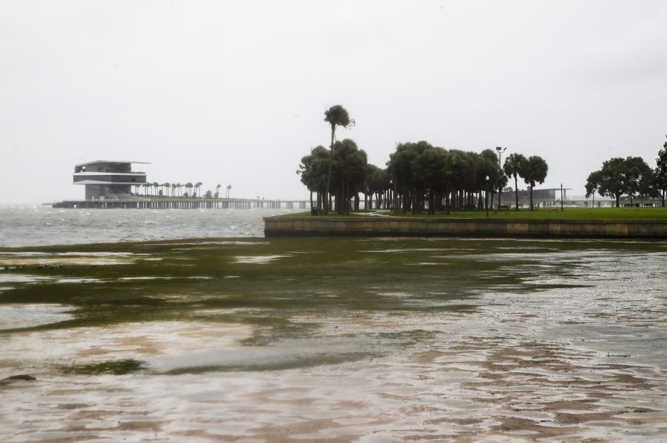 A view of the pier in Tampa Bay