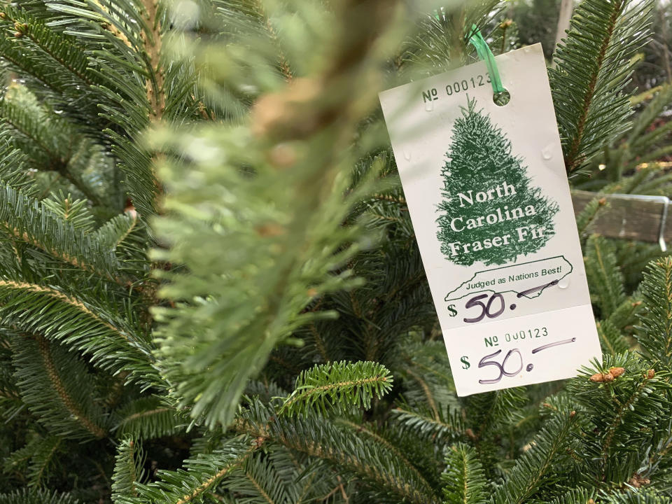 In this Monday, Dec. 9, 2019, photo, a North Carolina fraser fir Christmas tree is for sale in Lenoir, N.C. A Christmas tree shortage is being blamed on the Great Recession. Poor sales a decade ago, limited the number of trees planted, which are being harvested this year. (AP Photo/Sarah Blake Morgan)