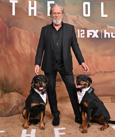 <p>Axelle/Bauer-Griffin/FilmMagic</p> Jeff Bridges