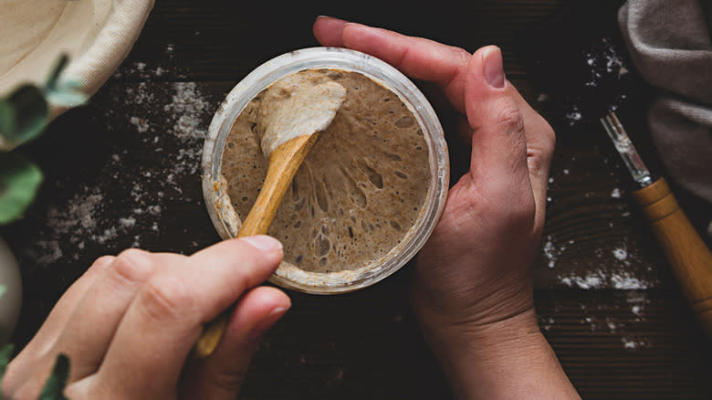 person feeding sourdough starter