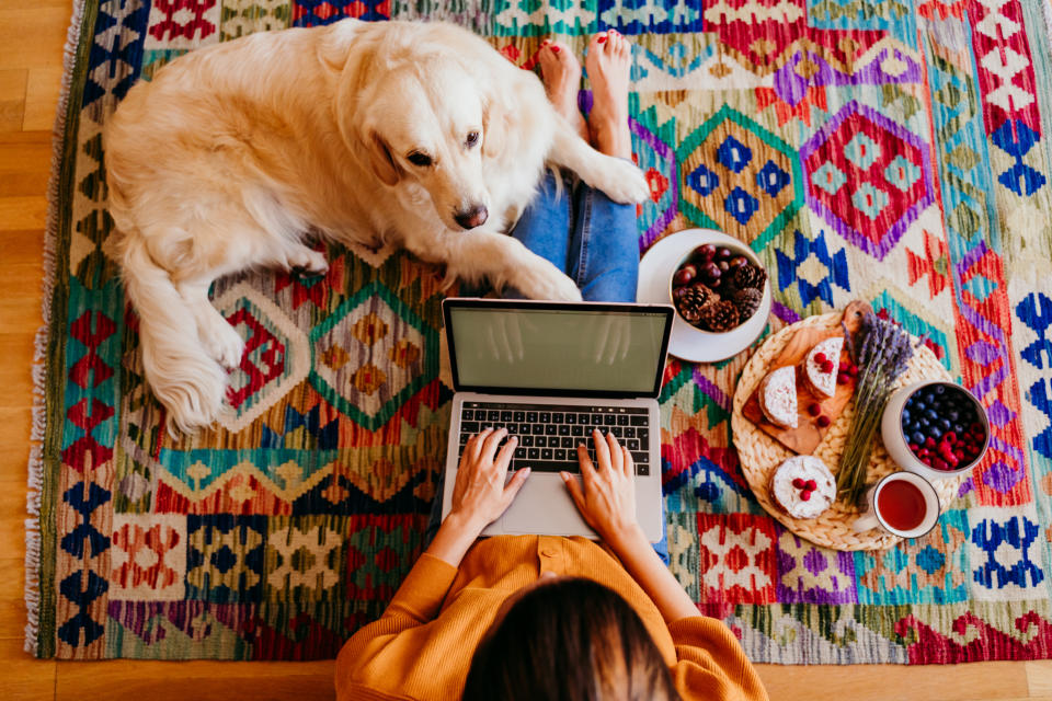 According to Dr. Coren, Golden Retrievers are among the most sociable dogs, making them a great fit for our current times. (Photo: Getty Images)