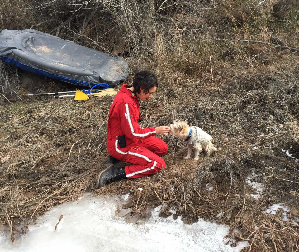 Medical nurse                   Erin Johnson finally coaxes Leo towards her thanks to a treat supplied by helicopter pilot Satoshi Mori. / Credit: Satoshi Mori