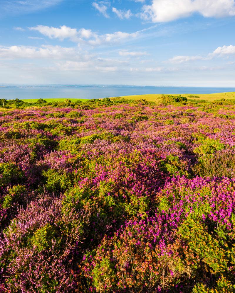 Monksilver, Exmoor, Somerset (replacement for Porlock, note to pic desk)