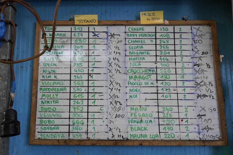 The diet chart for sea turtles is displayed at CESTHA, the Experimental Center for the Protection of Habitats, inside a former fish market in Marina di Ravenna, on the Adriatic Sea, Italy, Saturday, June 8, 2024. (AP Photo/Luca Bruno)