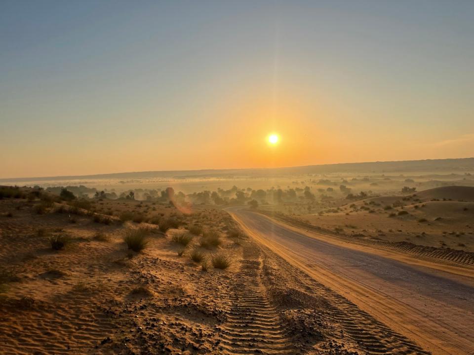 The Dubai Desert Conservation Reserve is a pristine patch of wilderness just outside the metropolis (Chris Zacharia)