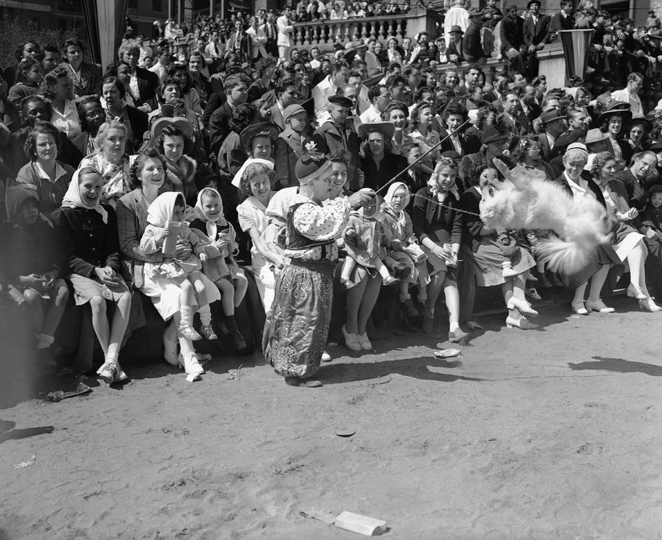 <p>An amused audience watches a clown from the Ringling Brothers Barnum and Bailey Circus put a trained dog through his paces at Bellevue Hospital in New York on April 23, 1942. Occasion was the annual appearance of the circus at the Hospital to do a full show for the benefit of patients, including many children. (AP Photo) </p>