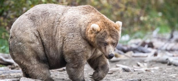 Katmai National Park & Preserve/Facebook/L. Carter