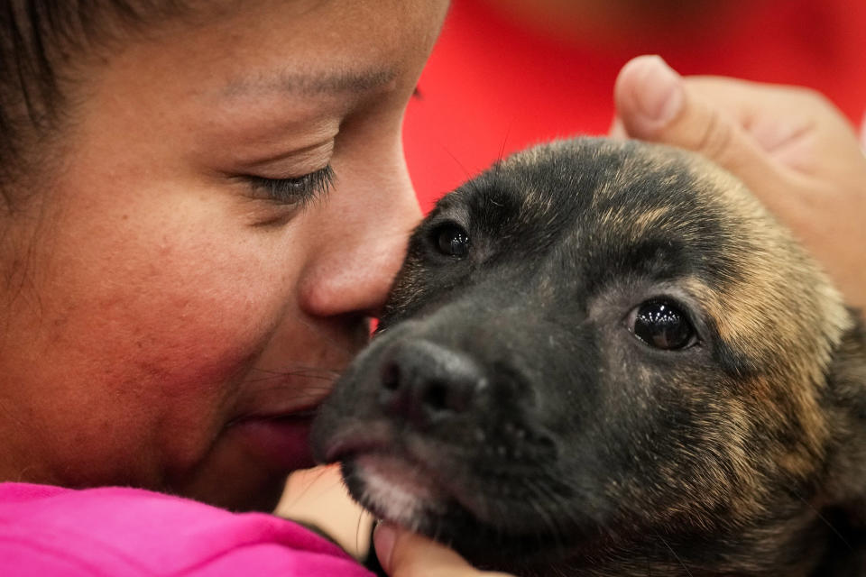 A person affectionately nuzzles a small dog, holding its face close to theirs. The person and dog both appear calm and content