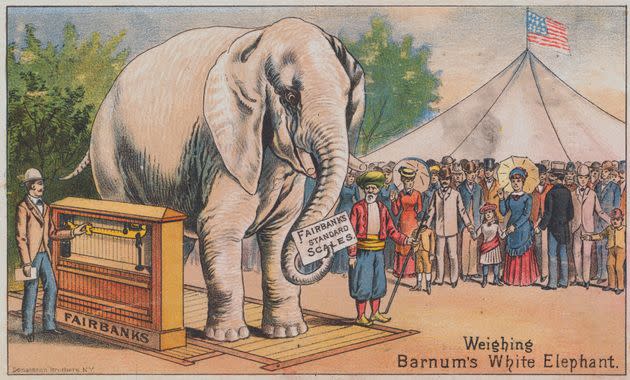 An advertisement featuring P.T. Barnum's white elephant, which he brought from Siam in 1884.
