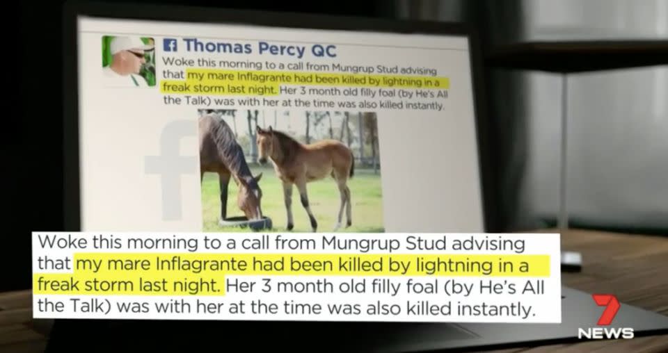Perth barrister Tom Percy lost two horses in an Albany lightning strike. Source: 7 News