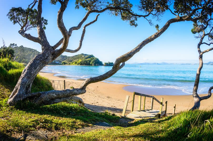 Sunrise at one of Northland New Zealand's idyllic east coast beaches.