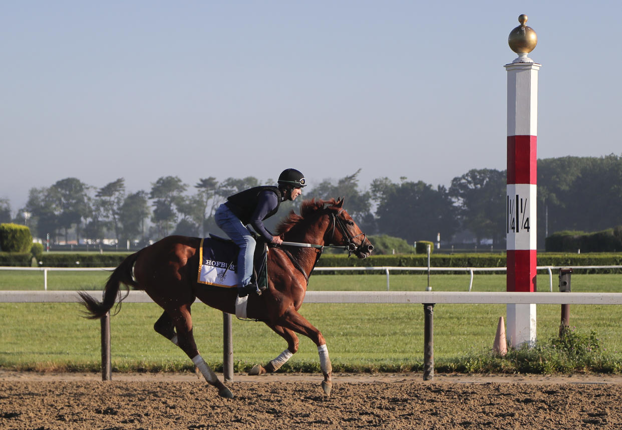 Belmont Stakes hopeful Hofburg gallops around the track during a workout at Belmont Park, Tuesday, June 5, 2018, in Elmont, N.Y. Hofburg drew the No. 4 post position, and has the second best odds behind Justify, who drew the rail. (AP Photo/Julie Jacobson)