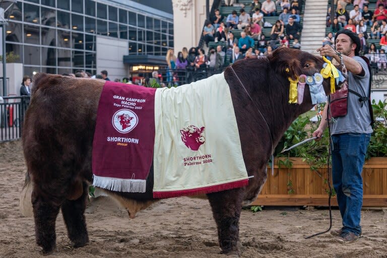 Bartolomé, Gran Campeón Macho en la Rural de Palermo 2022 