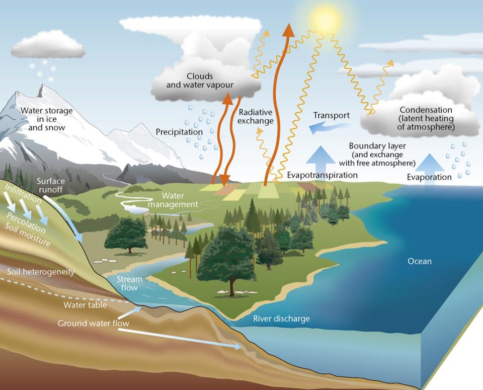 Diagram of water cycle