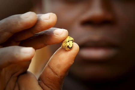 A gold prospector holds a gold nugget between his fingers at a gold mine near the village of Gamina in western Ivory Coast, March 16, 2015. REUTERS/Luc Gnago