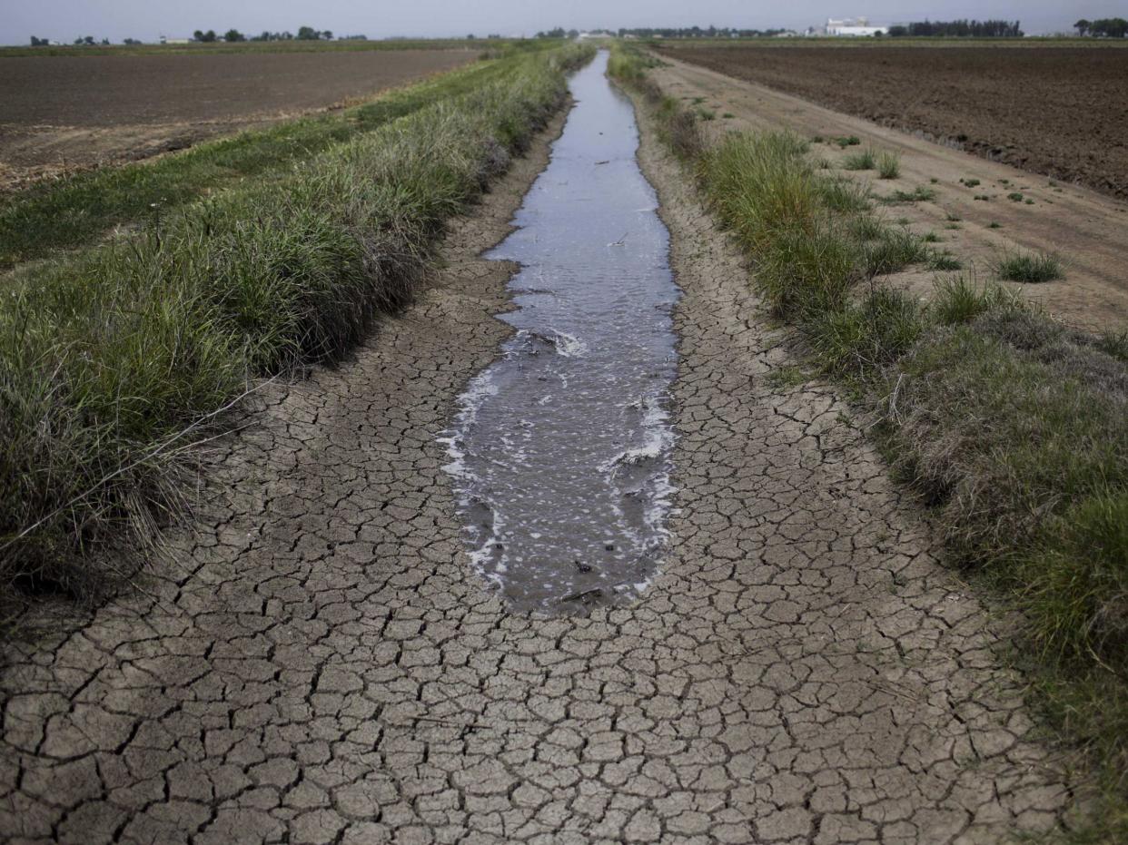 California drought