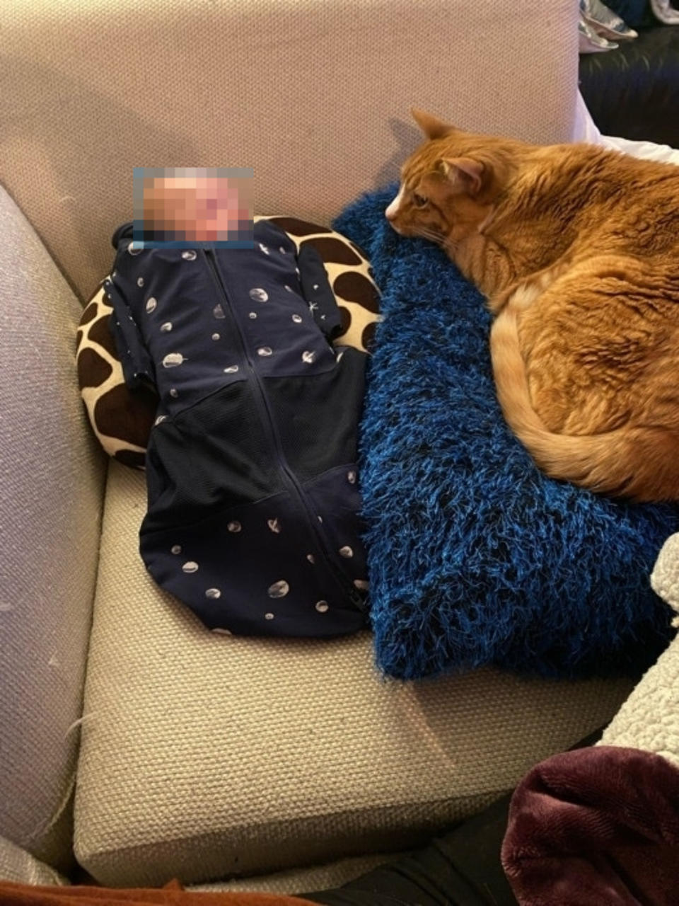 A baby in a sleepsuit lies on a couch next to an orange cat resting on a blue blanket