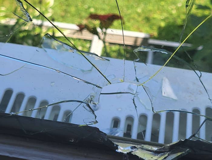 Broken window with cracks radiating from the center. Green grass and foliage outside are blurred in the background