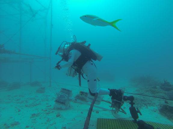 'Good to be back in weightlessness,' wrote JAXA astronaut Soichi Noguchi on Twitter concerning this scuba dive at the Aquarius underwater laboratory. Noguchi was on the SEATEST crew that worked in the lab in September 2013.