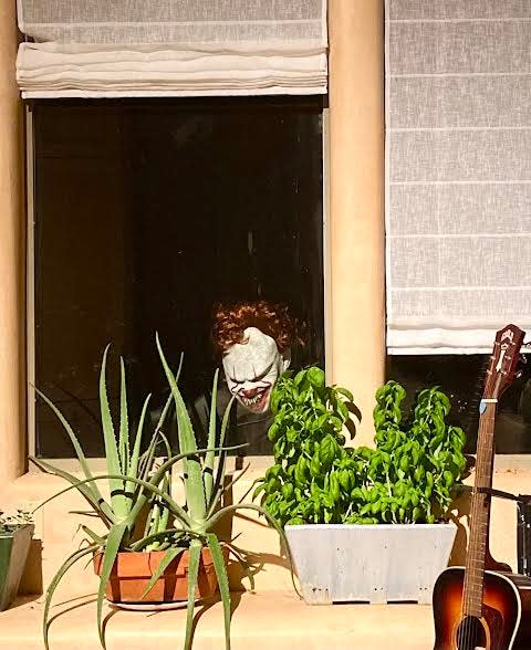 Max, Anna Sullivan's son, dressed as Pennywise the clown and looking out a window at her