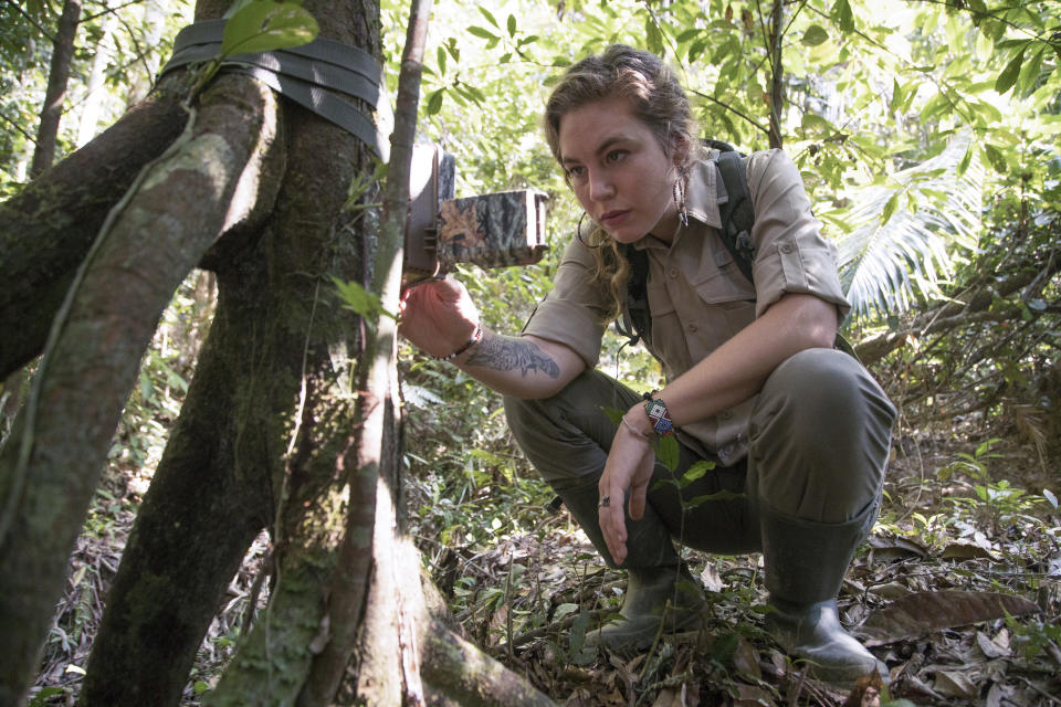 Samantha Zwicker monitoring camera traps which she uses to study jaguars in 