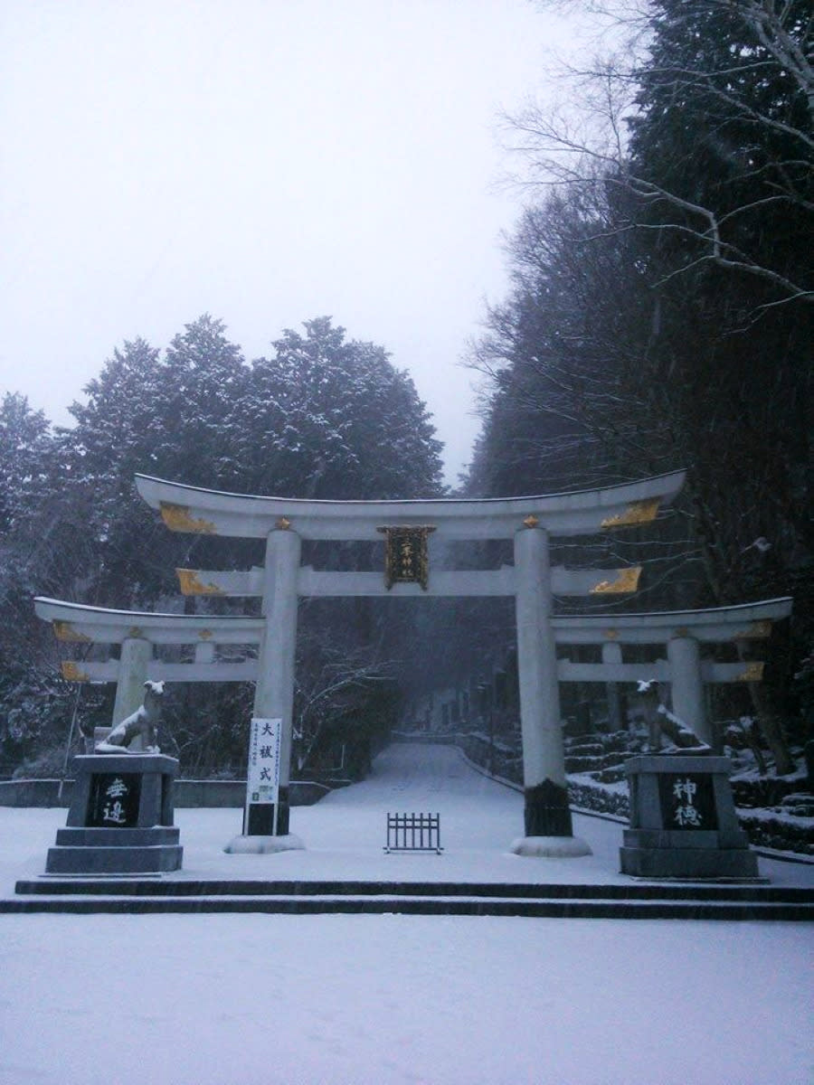 驚奇景點 你不知道的鳥居 稀奇古怪的鳥居絕景