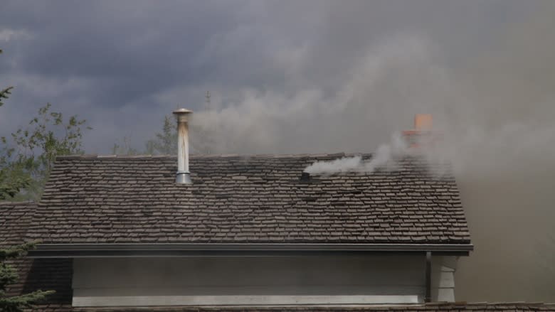 2 bobcat kittens found at Oakridge house fire in southwest Calgary