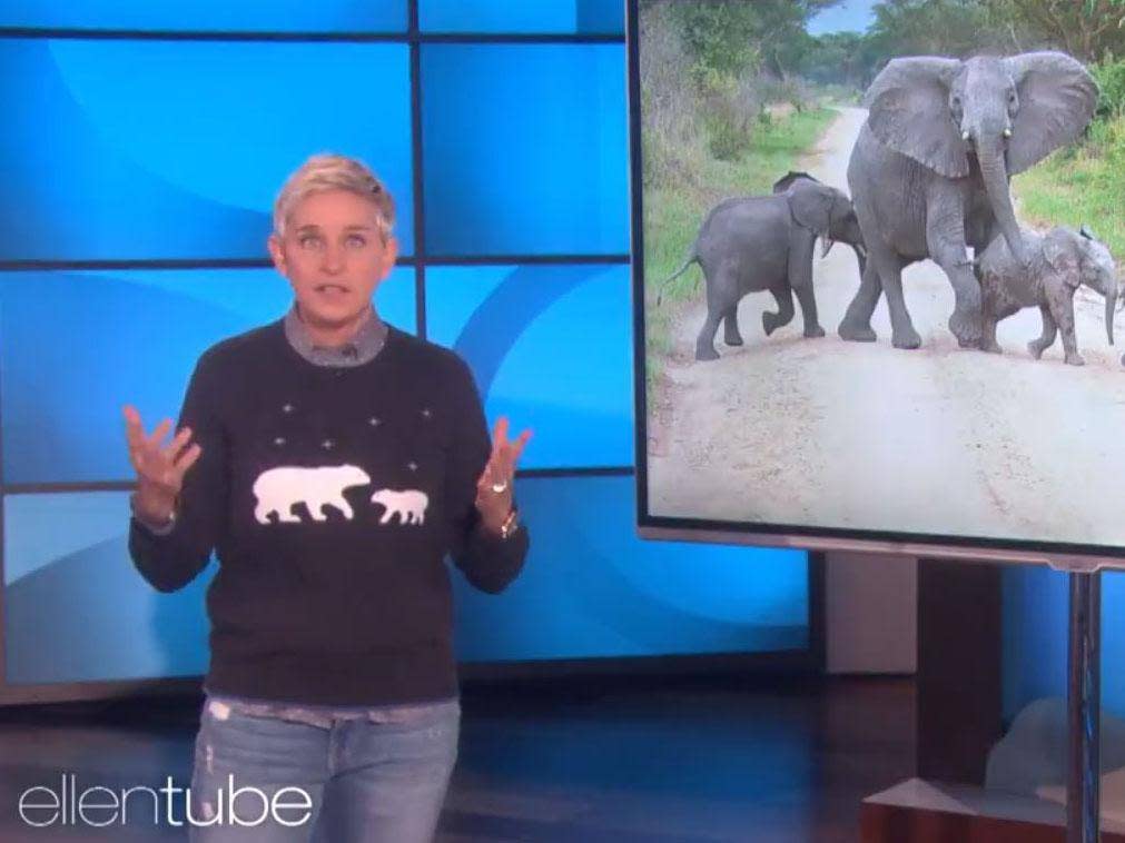 Ellen DeGeneres told an audience the decision 'got to' her: Snapshot