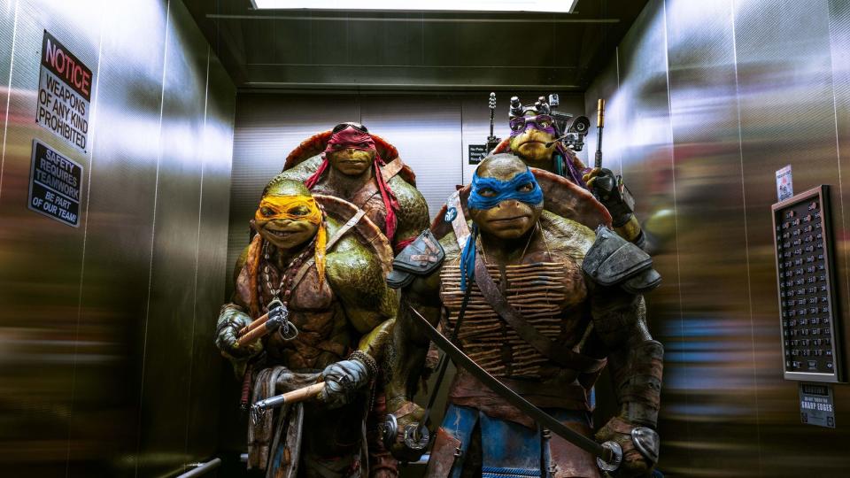 Teenage Mutant Ninja Turtles (2014)